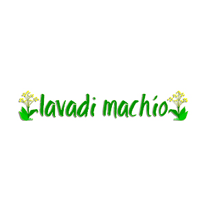 LAVADI MACHIO